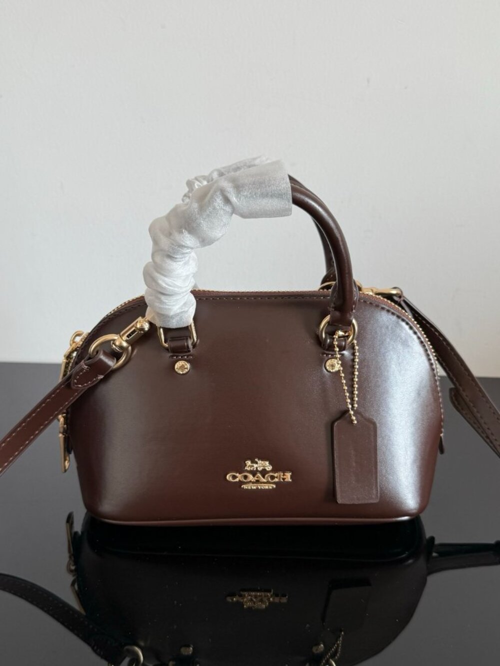 ✨Coach Dark Brown Mini Dome Satchel Smooth Leather Crossbody Handbag